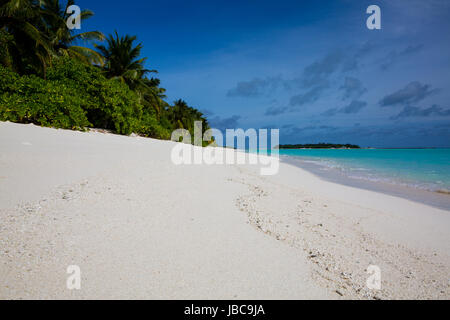 Pulver weißen Sand und üppig grüne Vegeatation auf einer Ferieninsel auf den Malediven. Stockfoto