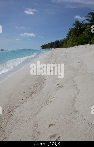 Pulver weißen Sand und üppig grüne Vegeatation auf einer Ferieninsel auf den Malediven. Stockfoto