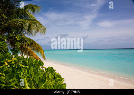 Pulver weißen Sand und üppig grüne Vegeatation auf einer Ferieninsel auf den Malediven. Stockfoto