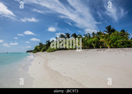 Pulver weißen Sand und üppig grüne Vegeatation auf einer Ferieninsel auf den Malediven. Stockfoto