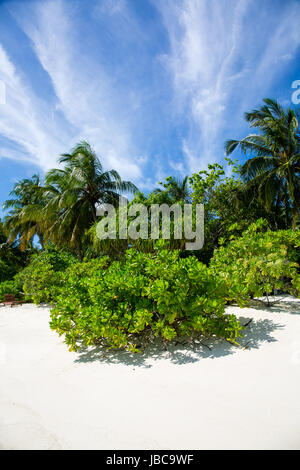 Pulver weißen Sand und üppig grüne Vegeatation auf einer Ferieninsel auf den Malediven. Stockfoto