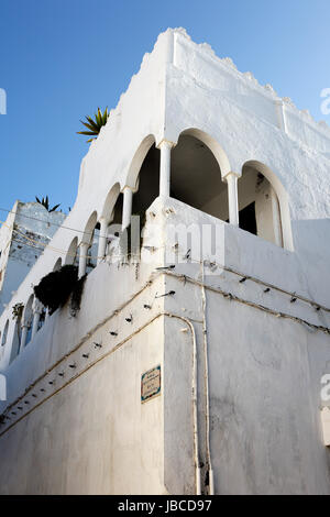 Weißes Gebäude in Assila, Marokko Stockfoto