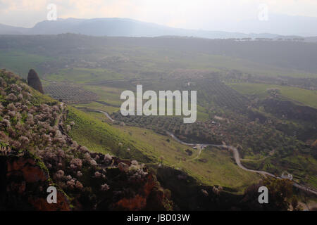 beeindruckende Aussicht auf das Tal in Ronda in Andalusien, Spanien Stockfoto