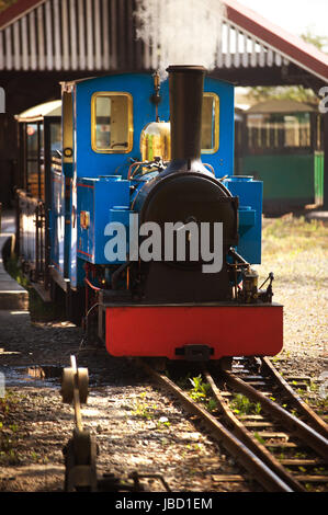 Miniatur Dampfmaschine an der Heatherslaw Mühle Feldbahn Northumberland, England Stockfoto