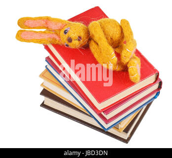 Draufsicht der Filz Stofftier Hase liegt auf Bücherstapel isoliert auf weißem Hintergrund Stockfoto