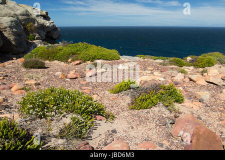 Kap der guten Hoffnung, Kapstadt, Republik Südafrika Stockfoto