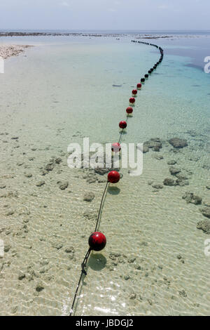 SIPADAN, BORNEO, MALAYSIA - Bojen eine Reihe von wenig schwimmen im kristallklaren Wasser an einem tropischen Strand Stockfoto
