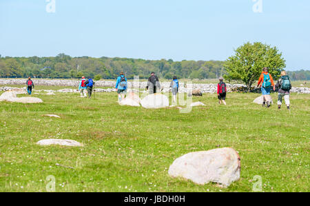 Ottenby, Schweden - 27. Mai 2017: Ökologische Dokumentarfilm. Gruppe von Wanderern entlang Kalksteinwand in kargen grüne Landschaft. Schafbeweidung in mir Stockfoto