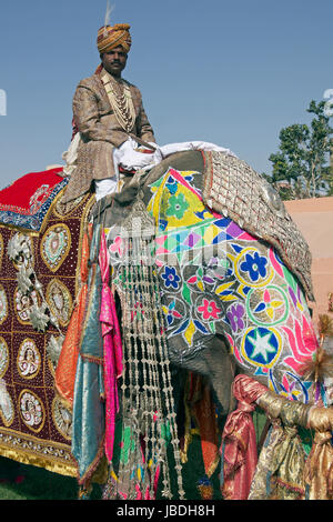 Elefant und Mahout beim jährlichen Elefanten Festival in Jaipur Rajasthan Indien eingerichtet. Stockfoto