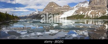 Malerischer Bergsee Panoramablick, auftauendes Eis schwimmend auf dem Wasser. Mount Robson Wanderweg Rocky Mountains British Columbia Kanada Stockfoto