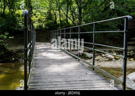 Kleine Holzbrücke mitten im Wald Stockfoto