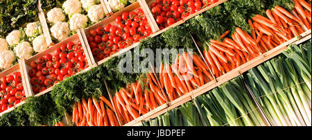 verschiedene Arten von frischem Gemüse auf Markt Stockfoto