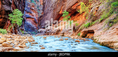 Seichte Stromschnellen des berühmten Virgin River Narrows im Zion National Park - Utah Stockfoto