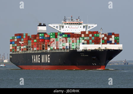 Das Containerschiff YM Bohrlochkopf übergibt Terneuzen und weiterhin den Hafen von Antwerpen. Stockfoto