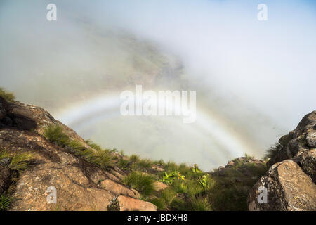 Regenbogen im Innern einer Wolke auf Sentinel Wandern, Drakensberge, Südafrika Stockfoto
