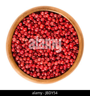 Rosa Pfeffer in Holzschale. Pfefferkörner, getrocknete Beeren, Würze. Schinus Terebinthifolia, brasilianischer Pfeffer, Aroeira, rosa Pfeffer, Wilelaiki. Stockfoto