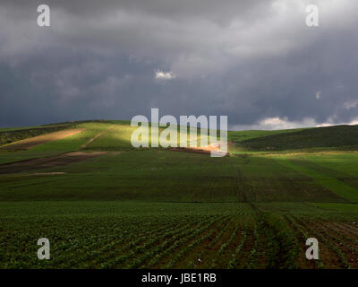 Schöne Landschaft in Ifrane, Marokko Stockfoto