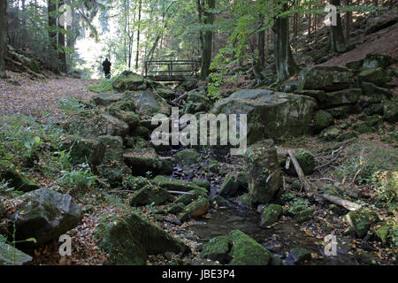 Im Silberbachtal (Lipperland) Stockfoto