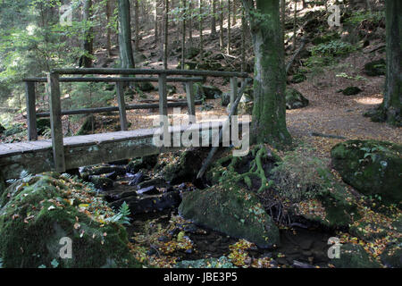 Im Silberbachtal (Lipperland) Stockfoto