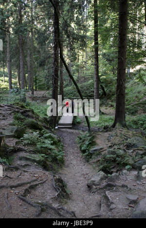 Im Silberbachtal (Lipperland) Stockfoto