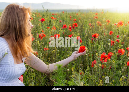 Schöne junge Frau im Mohnfeld hält eine Mohnblume Stockfoto