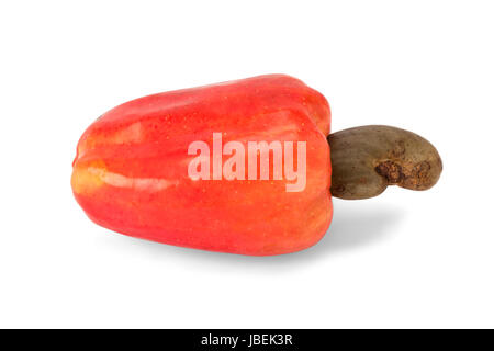 Frische reife brasilianische Caju Cashew-Frucht Stockfoto