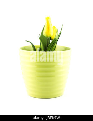 Keramik Blumentopf auf weißem Hintergrund. Stockfoto