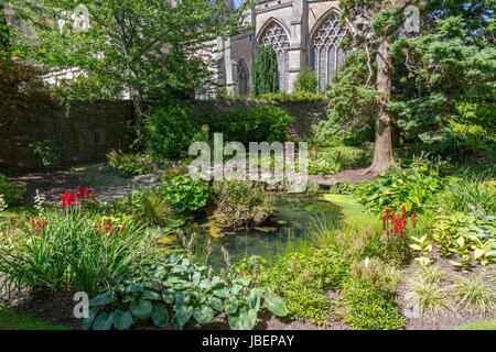 "Die Quellen" im Schlosspark des Bischofs sind wo das Wasser, das der Stadt ihren Namen verdankt quillt an der Oberfläche in Wells, Somerset, England, UK Stockfoto