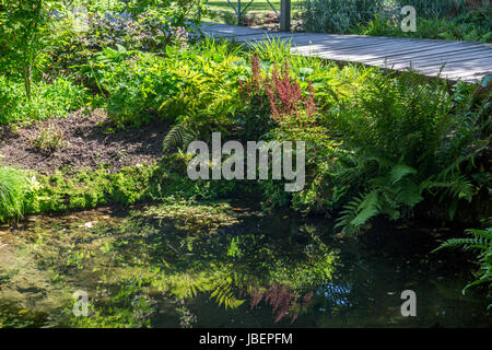 "Die Quellen" im Schlosspark des Bischofs sind wo das Wasser, das der Stadt ihren Namen verdankt quillt an der Oberfläche in Wells, Somerset, England, UK Stockfoto