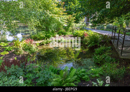 "Die Quellen" im Schlosspark des Bischofs sind wo das Wasser, das der Stadt ihren Namen verdankt quillt an der Oberfläche in Wells, Somerset, England, UK Stockfoto