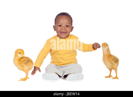 Bezaubernde afrikanische Babysitter wity zwei kleine gelbe Hühner auf einem weißen Hintergrund isoliert Stockfoto