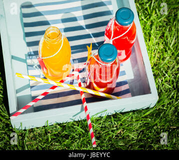 Reine Fruchtsäfte mit bunt gestreifte Strohhalme, die Farbe Orange und Berry Saft Flaschen serviert auf einem Holztablett im Freien auf dem Rasen bei einem Sommerpicknick Stockfoto