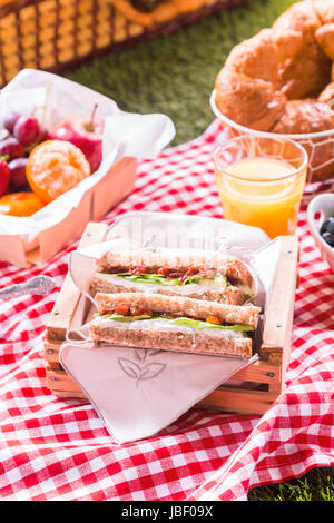 Gesunde Sommer-Picknick mit Käse und Salat Sandwiches, frisches Obst, Orangensaft und Croissants auf einem roten und weißen Tuch auf dem Rasen verteilt Stockfoto