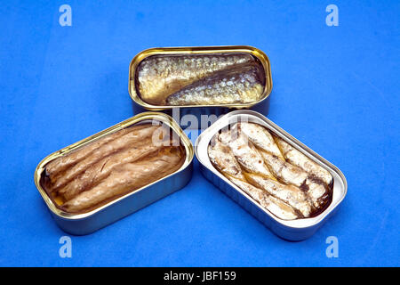 Konserven in Dosen Fisch Stockfoto