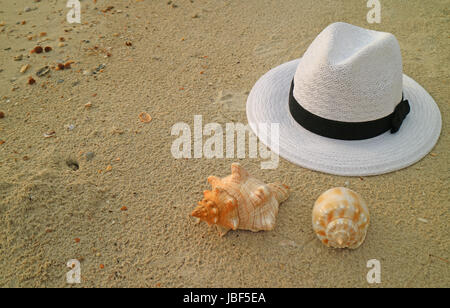 Weißer Strohhut auf dem Sandstrand mit zwei Arten von schönen natürlichen Muscheln Stockfoto