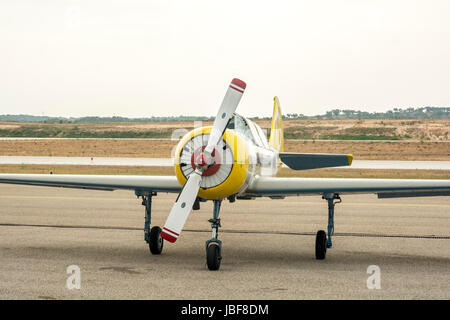Flugschau mit Yak-52 Flugzeugen in Portugal Stockfoto