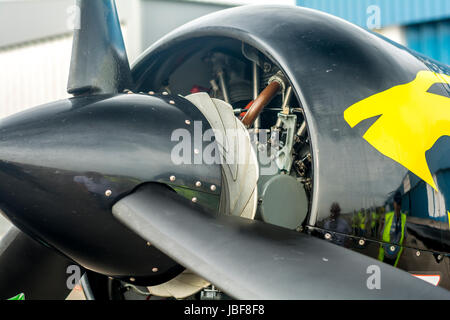 Flugschau mit Yak-52 Flugzeugen in Portugal Stockfoto