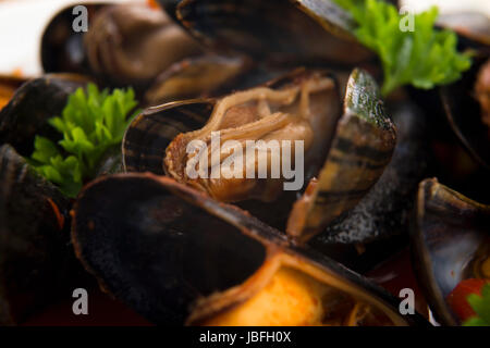 Muscheln in Tomatensauce Stockfoto