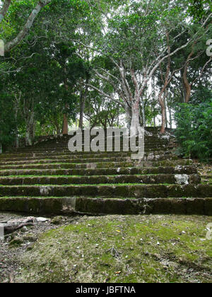 Ruinen der Maya-Tempel in Kohunlich, Mexiko Stockfoto