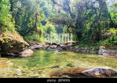 Fluss, der durch den Dschungel in der Sierra Nevada de Santa Marta in Kolumbien Stockfoto