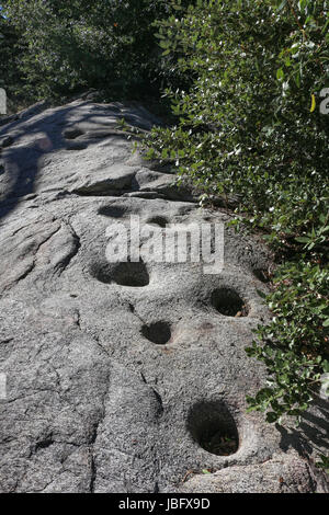 Morteros auf einem großen Granitblock in der Nähe von Silvercrest Picknickplatz im Palomar Mt. State Park wo native American Indians Eicheln zu Brei gemahlen Stockfoto