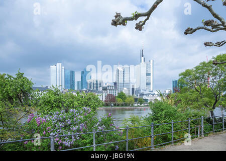 Skyline von Frankfurt Am Main Stockfoto