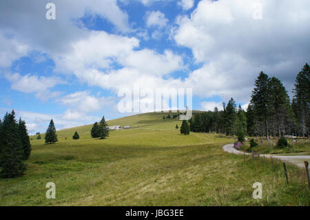 Weg Zum Feldberg Im Schwarzwald Durch Wiese Und Wald, Blauer Himmel Und Wolken wandern Wanderweg auf den Feldberg im Schwarzwald durch Wiese und Wald, blauer Himmel und Wolken Stockfoto