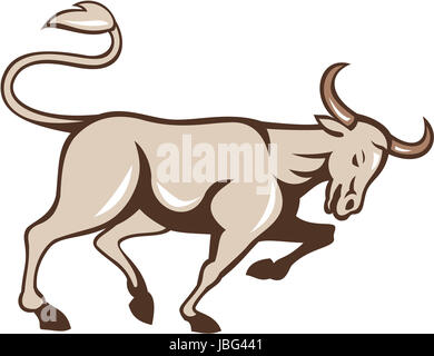 Illustration einer wütend wie ein wilder Stier aufladen betrachtet von Seite auf isolierte Hintergrund getan im Cartoon-Stil. Stockfoto