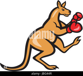 Abbildung eines Kängurus kick Boxer Boxen mit Boxhandschuhen Seitenansicht auf isolierte Hintergrund im Cartoon-Stil gemacht. Stockfoto