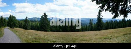 Landschaft Im Schwarzwald; Panoramablick Über Wiesen Und Wälder, Berge Und Täler, Wandern Auf Dem Fernwanderweg Westweg Landschaft im Schwarzwald; Panoramablick über Wiesen und Wälder, Berge und Täler, Wandern auf der Langdistanz Wanderweg Westweg Stockfoto