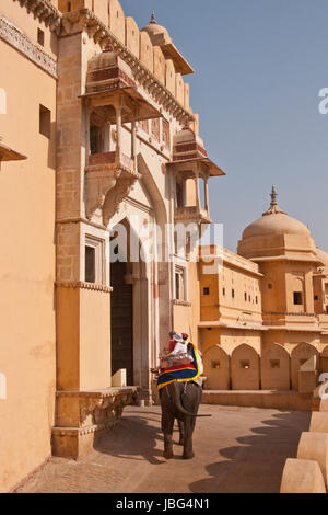 Mahut auf einem geschmückten Elefanten durch den Eingang des Amber Fort in Jaipur, Rajasthan, Indien. Stockfoto