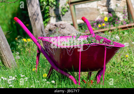 Arbeiten Sie in einem Garten Schubkarre einsatzbereit Stockfoto