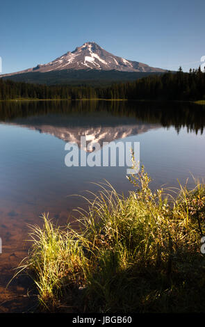 Am späten Nachmittag Sonne wärmt Mount Hood über Trillium Lake Stockfoto