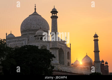 Taj Mahal bei Sonnenuntergang in Agra, Uttar Pradesh, Indien. Taj Mahal wurde 1983 zum UNESCO-Weltkulturerbe erklärt. Stockfoto